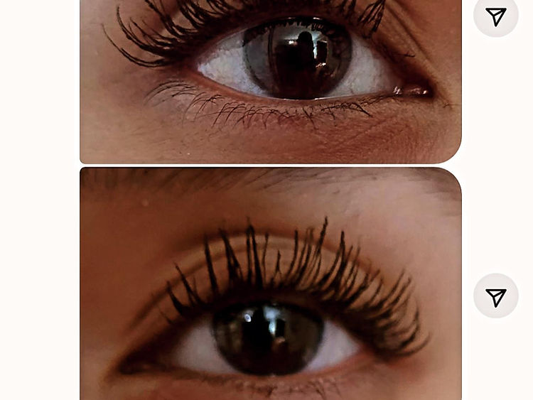 Groh lash and brow serum